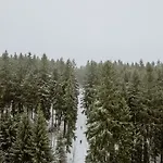 Waldhotel Kreuztanne 4*