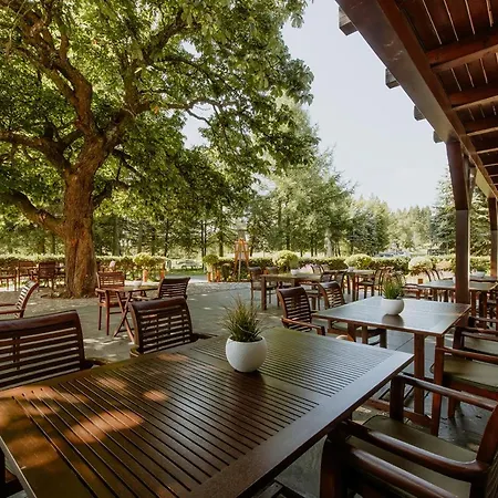 Waldhotel Kreuztanne מלון Sayda