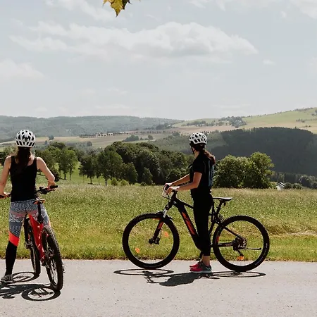 克鲁兹坦瓦尔德酒店酒店 4* 赛达