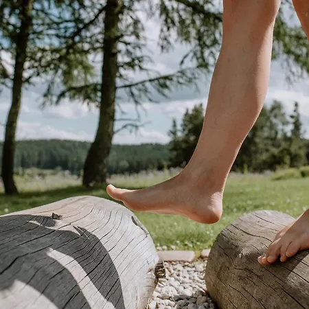 克鲁兹坦瓦尔德酒店酒店 4*