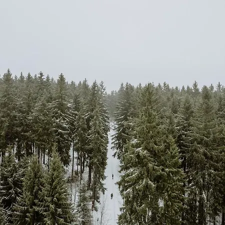 Waldhotel Kreuztanne 4*