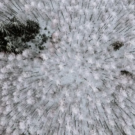 Waldhotel Kreuztanne מלון 4*