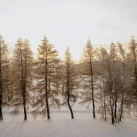 Waldhotel Kreuztanne