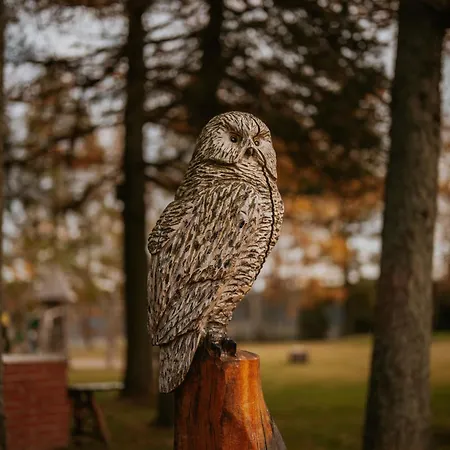 Waldhotel Kreuztanne Hotel