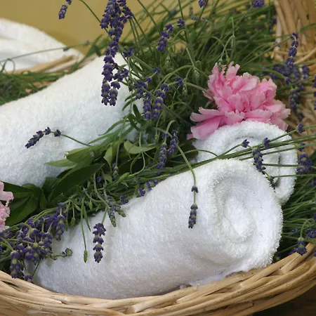 Waldhotel Kreuztanne מלון