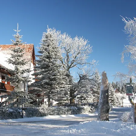 Otel Waldhotel Kreuztanne