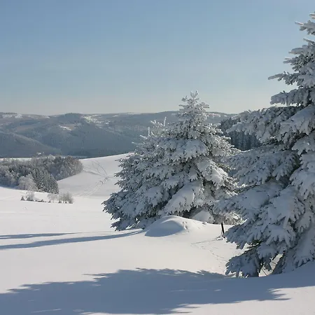 Waldhotel Kreuztanne מלון