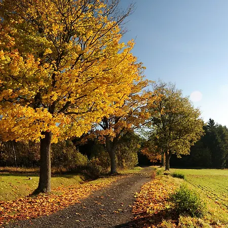 Waldhotel Kreuztanne Hotel