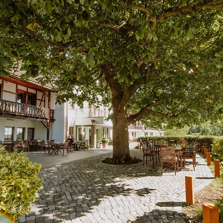 Otel Waldhotel Kreuztanne Sayda