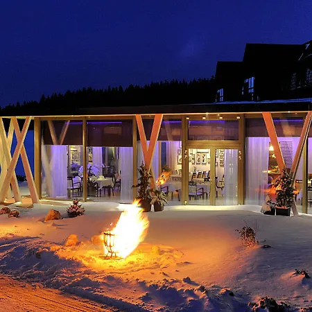 Waldhotel Kreuztanne 호텔