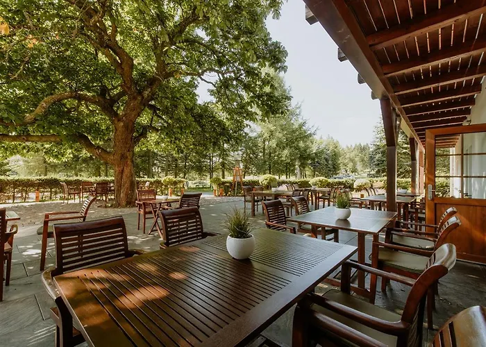 Waldhotel Kreuztanne فندق Sayda