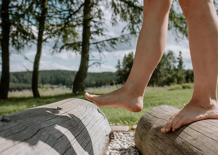 Waldhotel Kreuztanne 4*