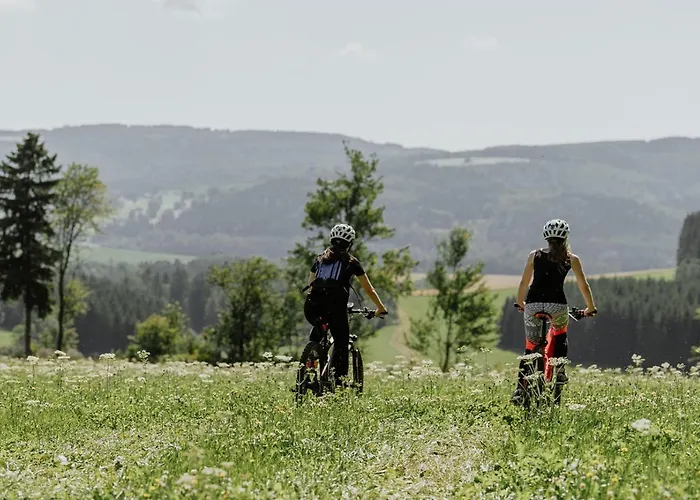 Waldhotel Kreuztanne فندق 4*