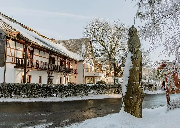 فندق Waldhotel Kreuztanne