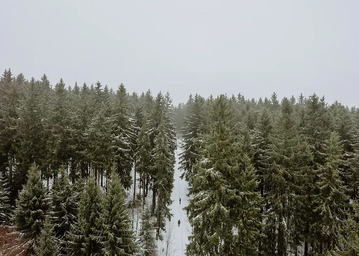 Waldhotel Kreuztanne 4*