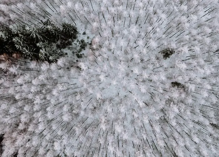 Waldhotel Kreuztanne فندق 4*