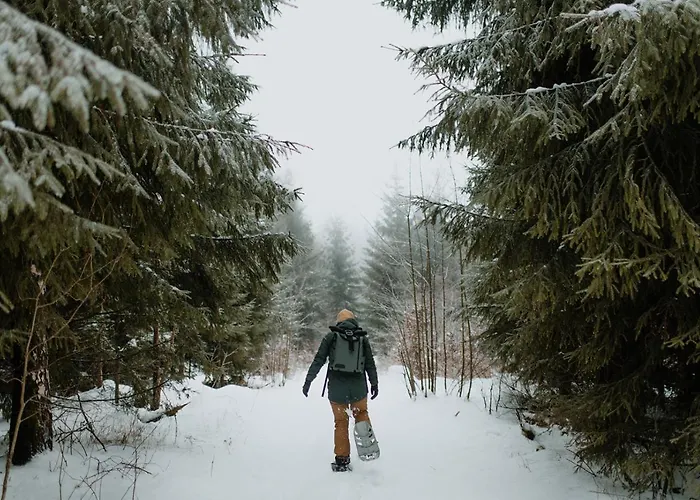 فندق Waldhotel Kreuztanne