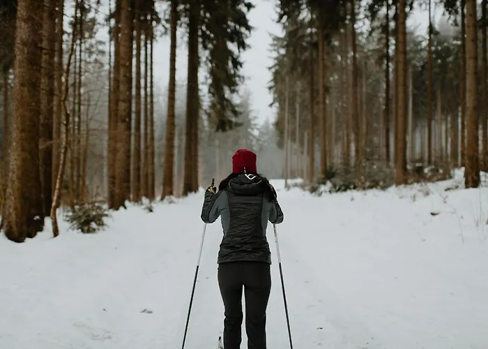 Waldhotel Kreuztanne Sayda