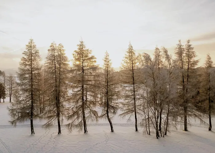 Waldhotel Kreuztanne