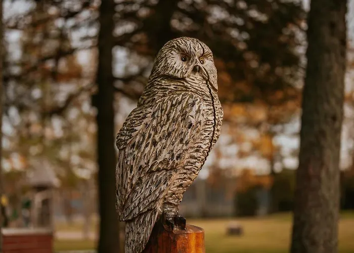 Waldhotel Kreuztanne فندق