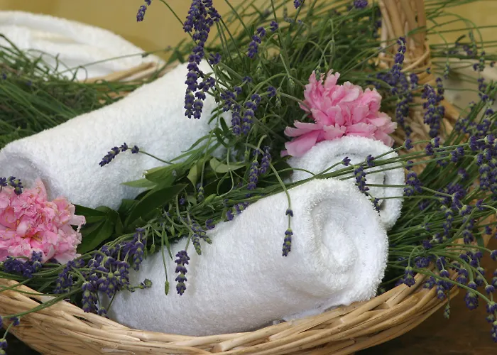 Waldhotel Kreuztanne Hotel