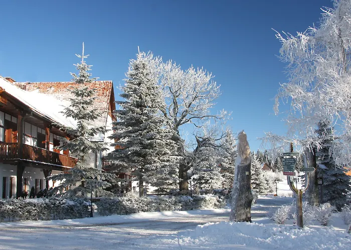 فندق Waldhotel Kreuztanne