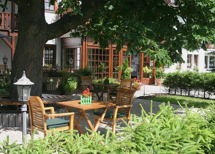 Waldhotel Kreuztanne فندق