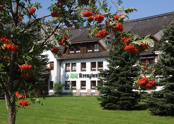 Waldhotel Kreuztanne 4* Sayda