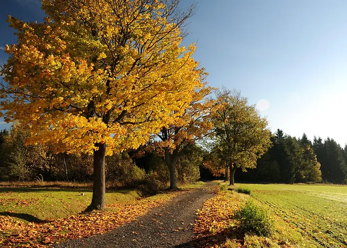 Waldhotel Kreuztanne فندق